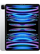  iPad Pro 12.9" 6th Gen (Wi-Fi+Cellular)